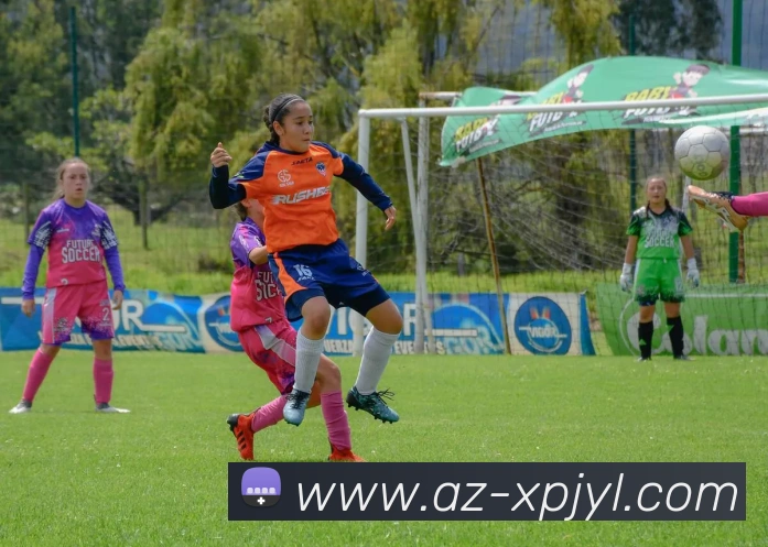 澳门新葡京娱乐平台生态图